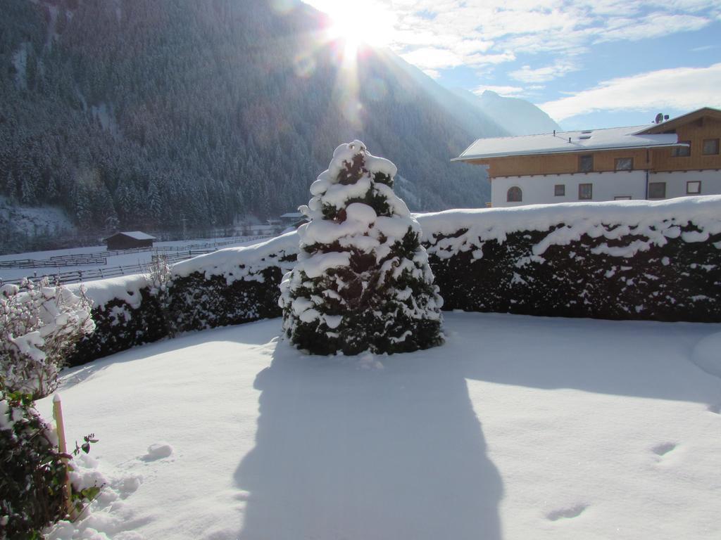 Haus Egger Appartement Neustift im Stubaital Buitenkant foto